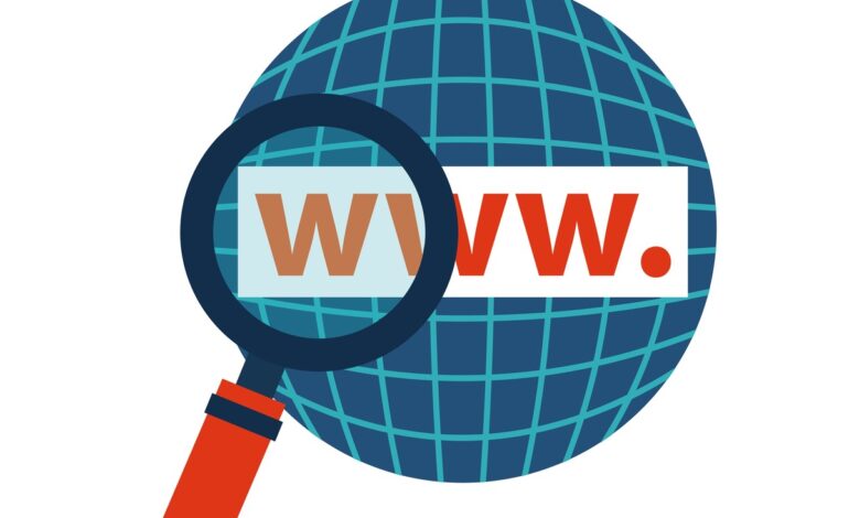 IP Domain: Pengertian, Manfaat dan Cara Cek Mudah Tanpa Ribet!