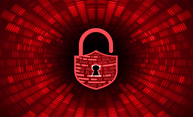 domain security