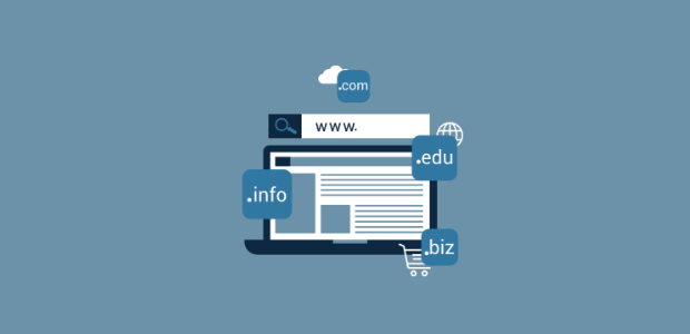 domain whois