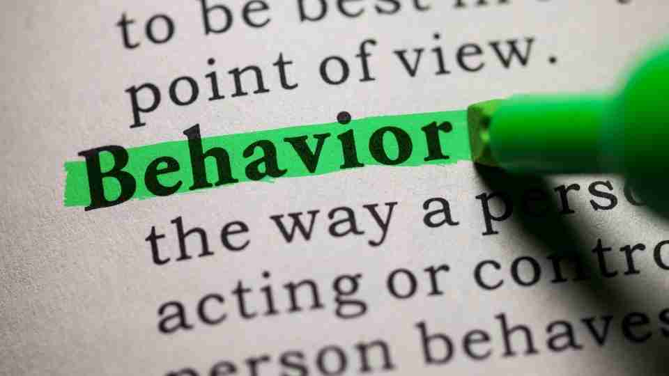 behavior adalah